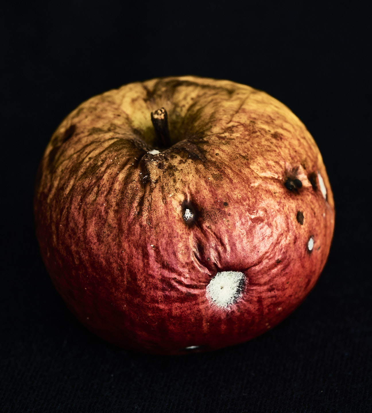 Image 1 of 11 from Beautiful rot - Click to view full size