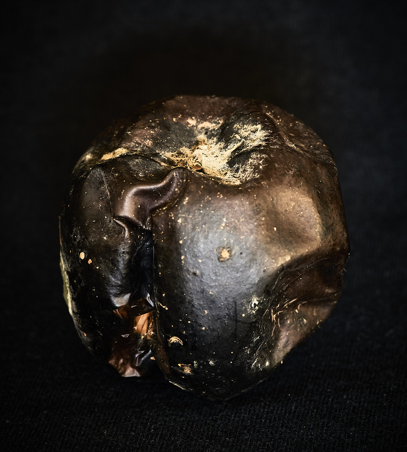 Image 2 of 11 from Beautiful rot - Click to view full size