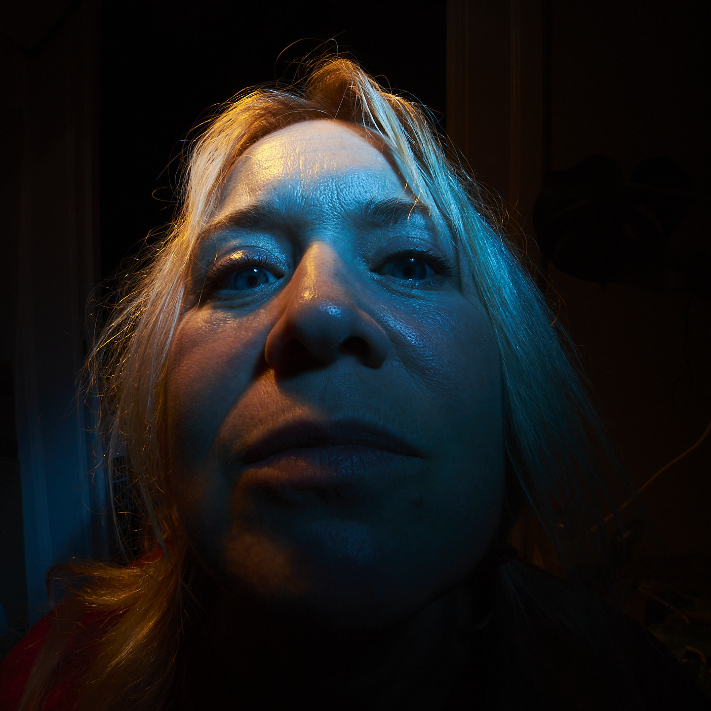 Image 2 of 5 from Dinner Sessions: 14mm - Click to view full size