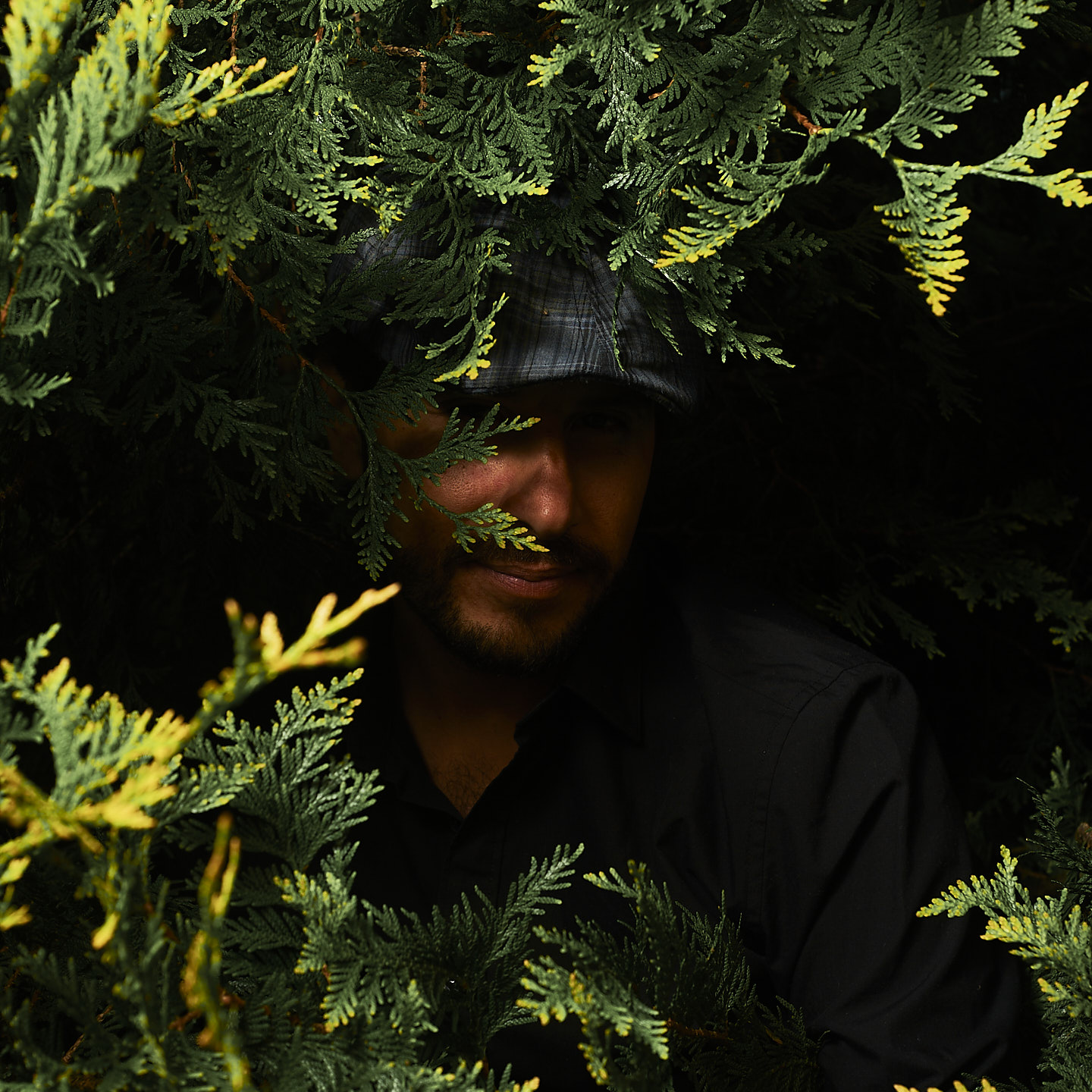 Image 2 of 12 from Dinner Sessions: Among plants - Click to view full size