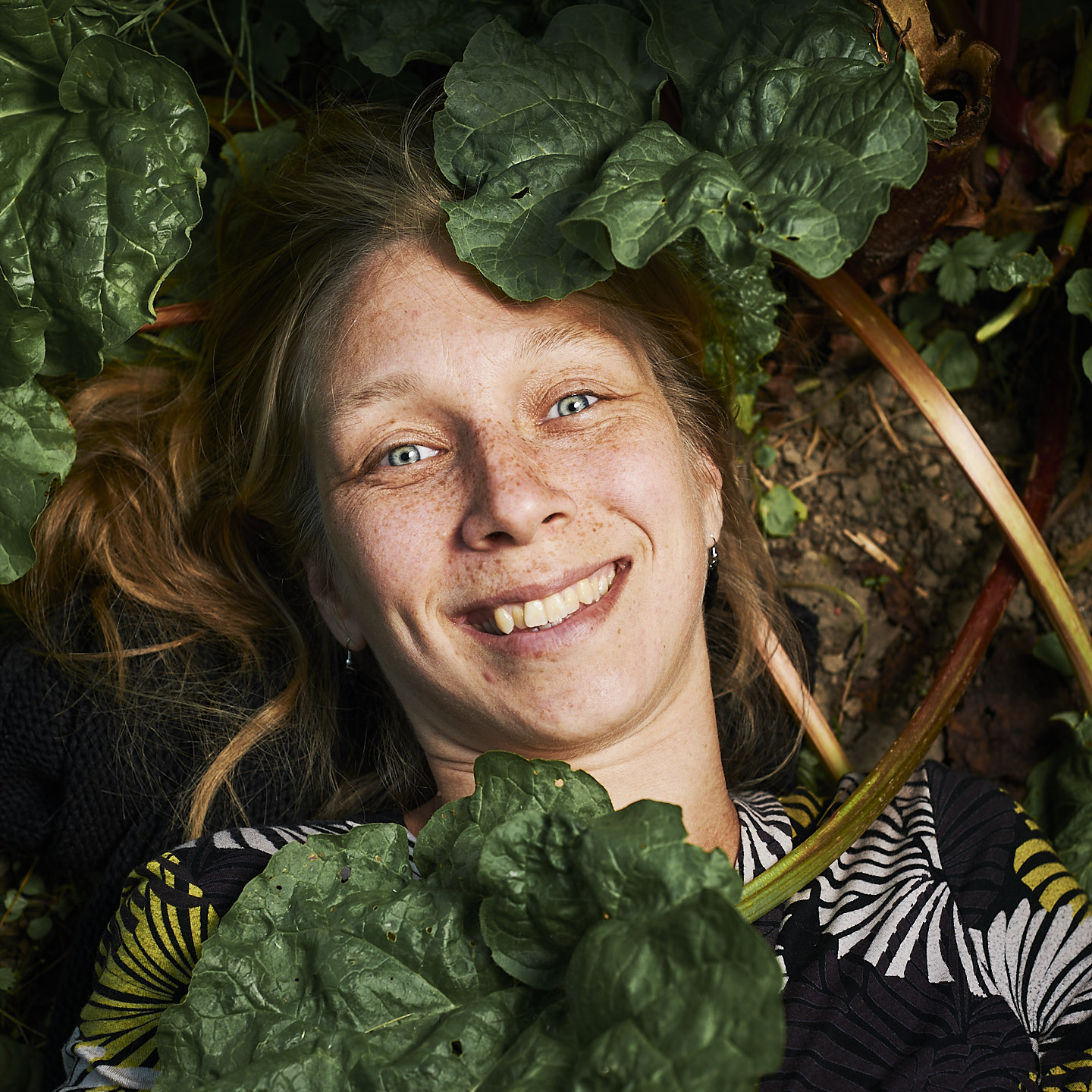 Image 3 of 12 from Dinner Sessions: Among plants - Click to view full size